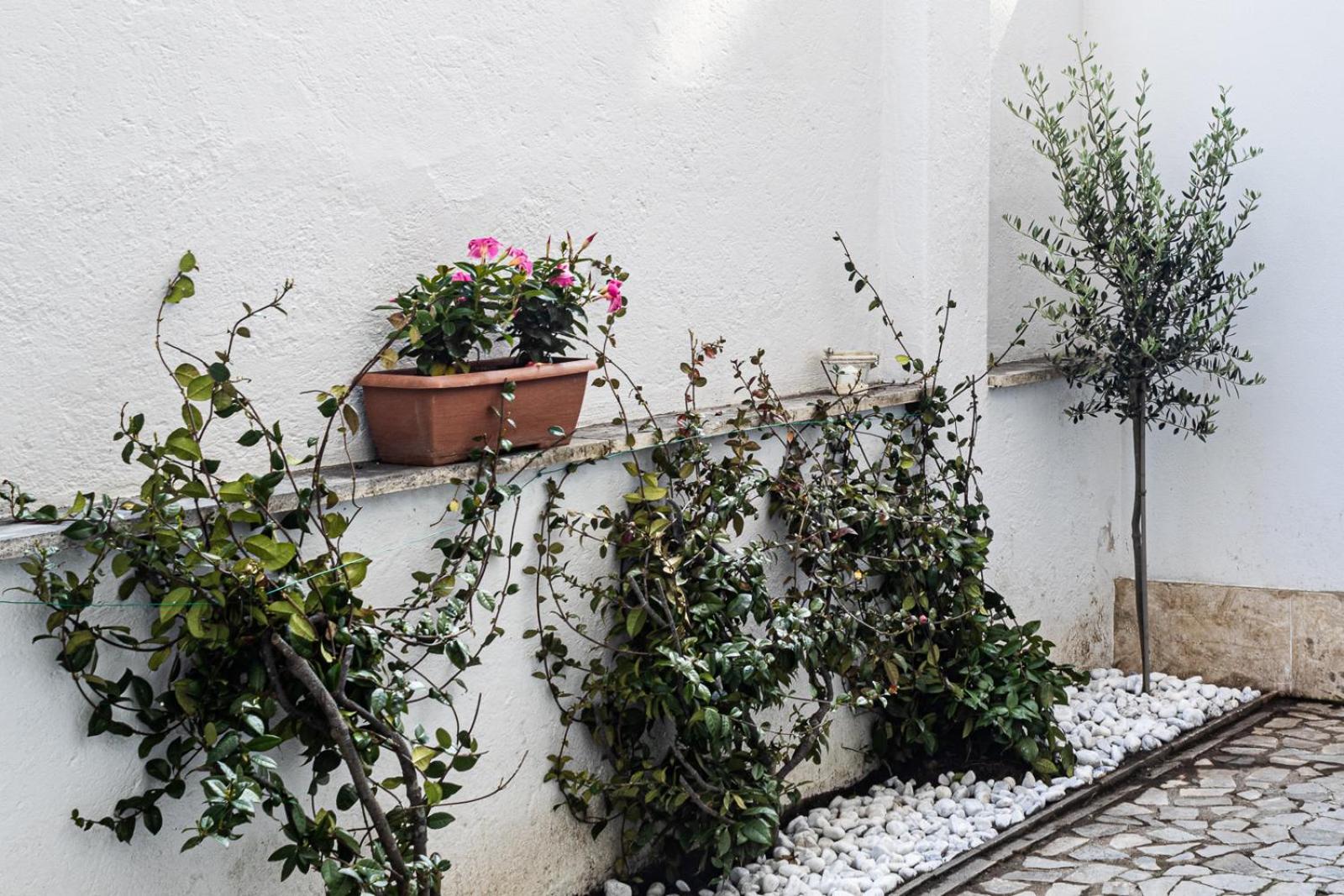 Apartamento Flaminio * * * * * - Loft Con Giardino *